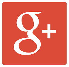 Google +